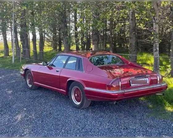 JAGUAR XJS LE MANS