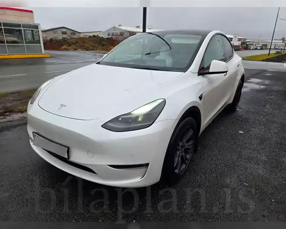 TESLA MODEL Y LONG RANGE