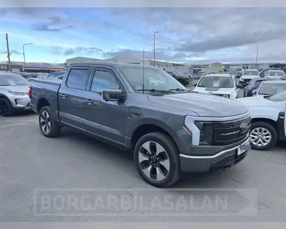 FORD F150 LIGHTNING PLATINUM