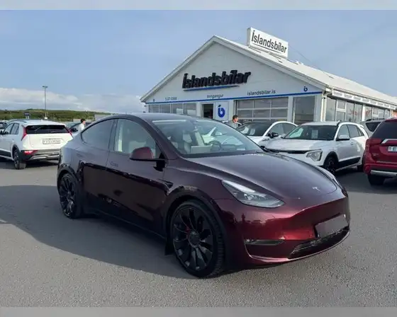 TESLA MODEL Y PERFORMANCE