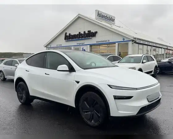 TESLA MODEL Y PREMIUM LONG RANGE
