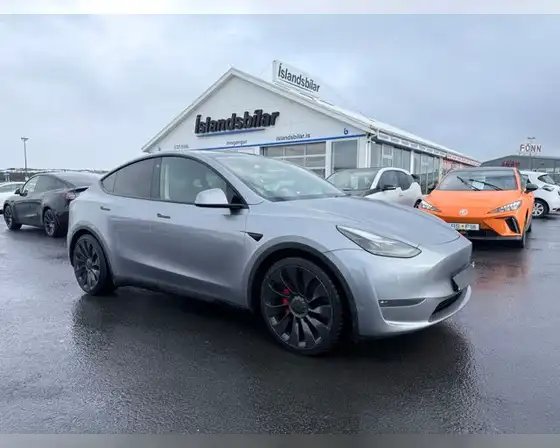 TESLA MODEL Y PERFORMANCE