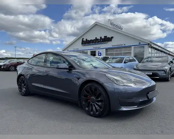 TESLA MODEL 3 PERFORMANCE