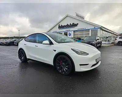 TESLA MODEL Y PERFORMANCE