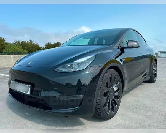 TESLA MODEL Y PERFORMANCE