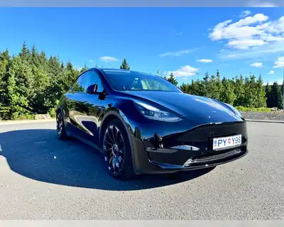 TESLA MODEL Y PERFORMANCE