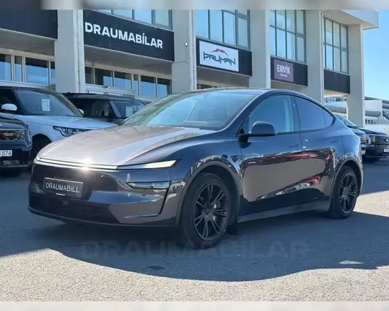 TESLA MODEL Y LONG RANGE AWD