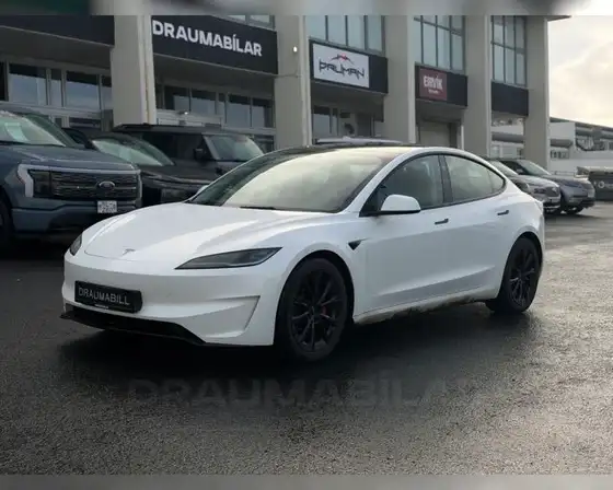 TESLA MODEL 3 PERFORMANCE