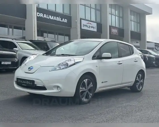 NISSAN LEAF 30KWH
