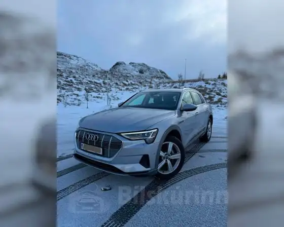 AUDI E-TRON 50