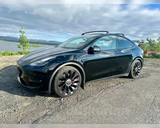 TESLA MODEL Y PERFORMANCE