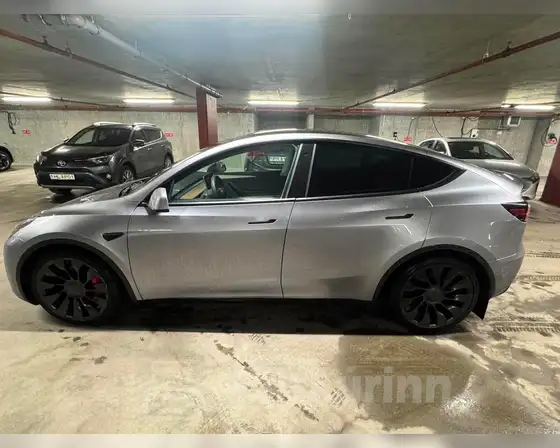 TESLA MODEL Y PERFORMANCE