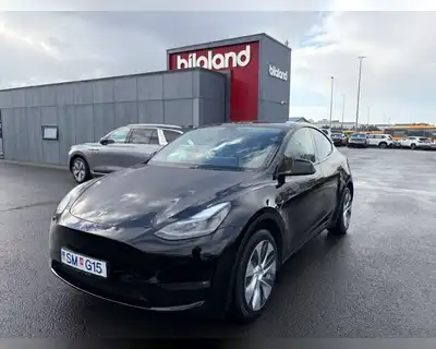 TESLA MODEL Y LONG RANGE AWD
