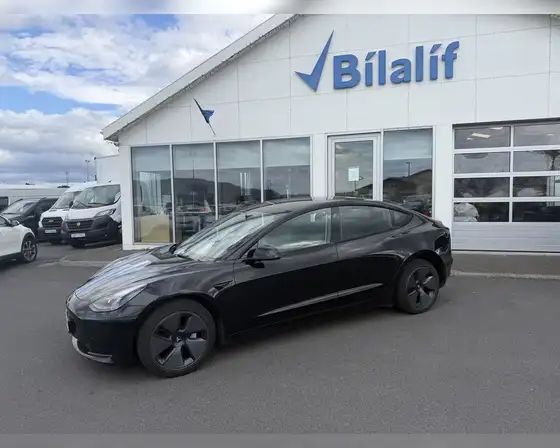 TESLA MODEL 3 STANDARD PLUS