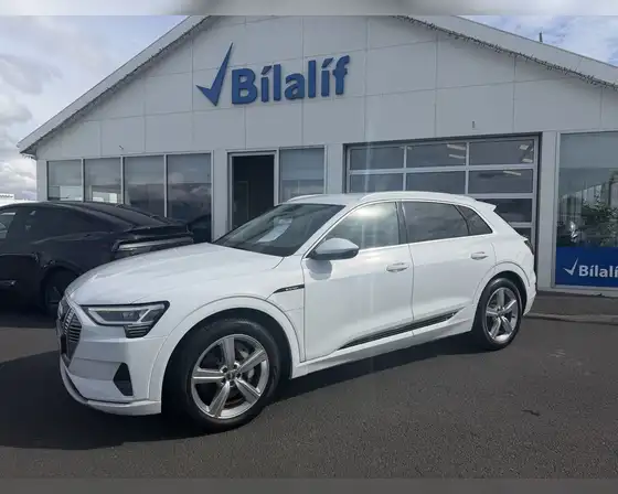 AUDI E-TRON 50