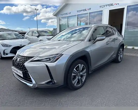 LEXUS UX300E