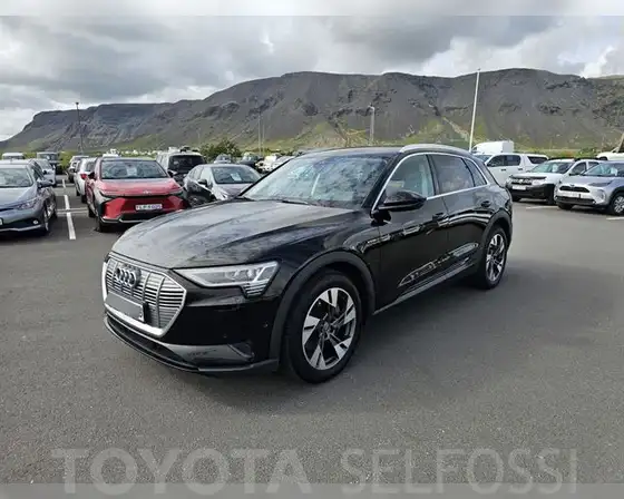 AUDI E-TRON 50