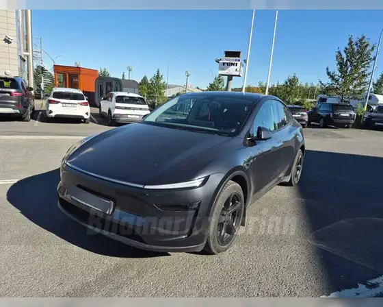 TESLA MODEL Y LONG RANGE