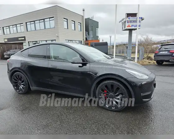 TESLA MODEL Y PERFORMANCE
