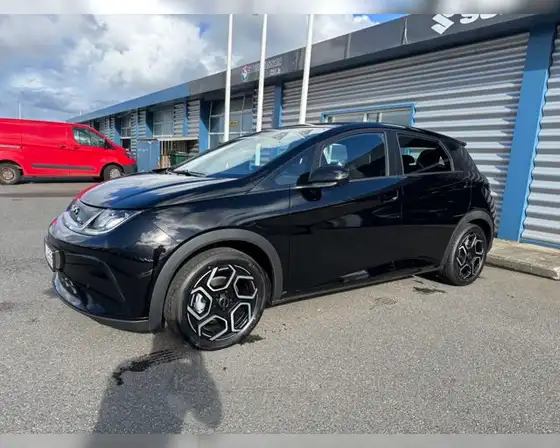 BYD DOLPHIN 60KWH