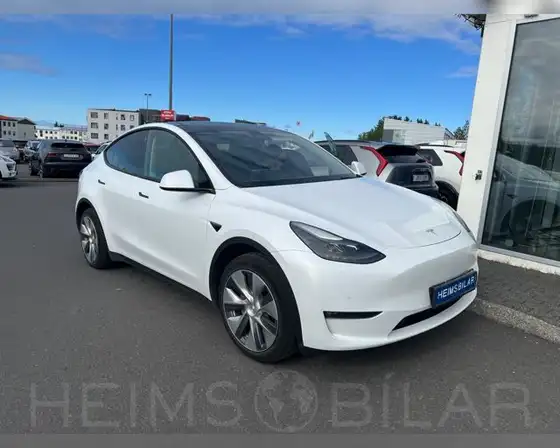 TESLA MODEL Y LONG RANGE AWS