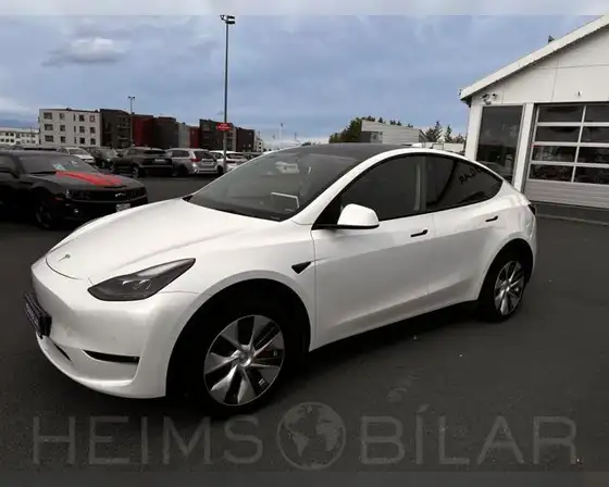 TESLA MODEL Y PERFORMANCE
