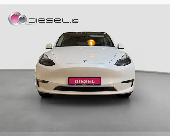 TESLA MODEL Y LONG RANGE