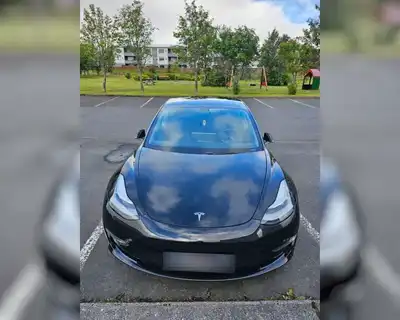 TESLA MODEL 3 PERFORMANCE