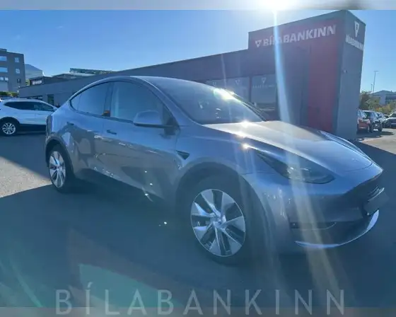 TESLA MODEL Y LONG RANGE