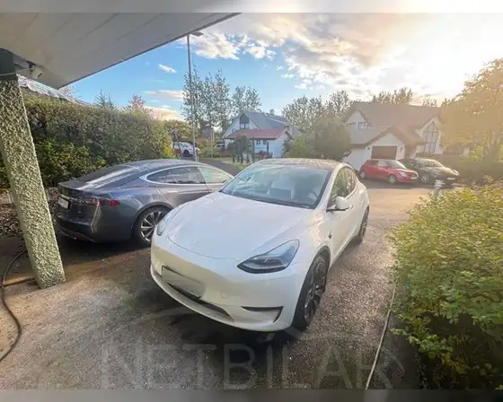 TESLA MODEL Y PERFORMANCE