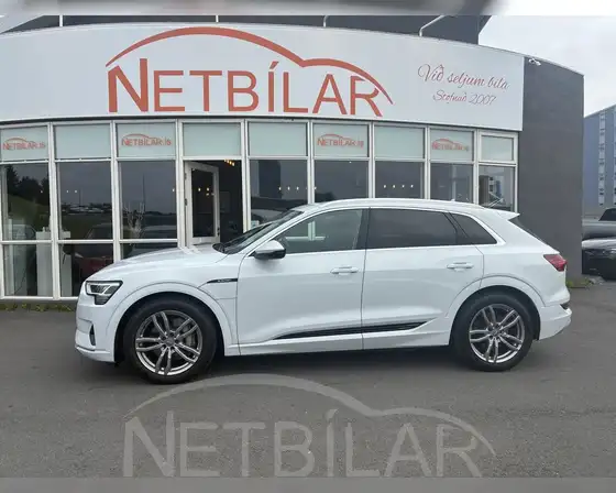 AUDI E-TRON 50