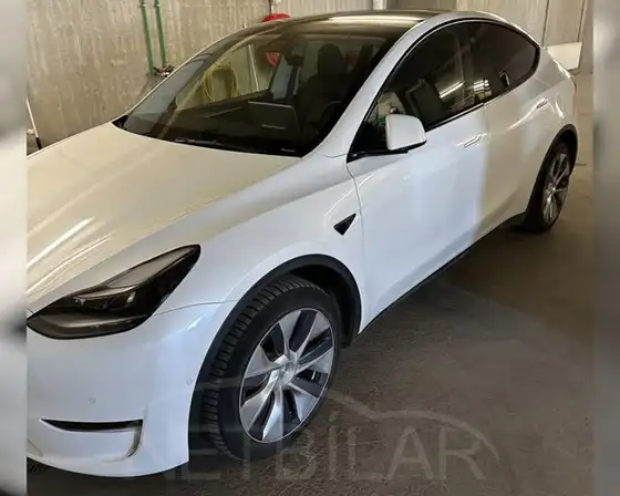 TESLA MODEL Y LONG RANGE