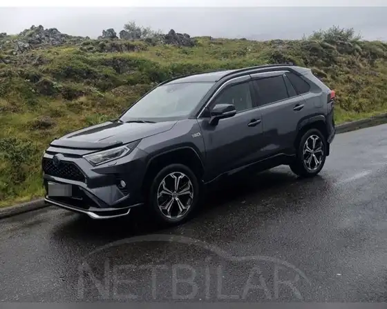 TOYOTA RAV4 STYLE PLUG IN HYBRID
