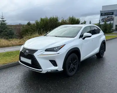 LEXUS NX300H EXE SÓLLÚGA