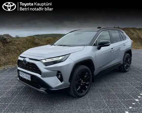 TOYOTA RAV4 STYLE HYBRID