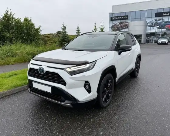 TOYOTA RAV4 STYLE HYBRID