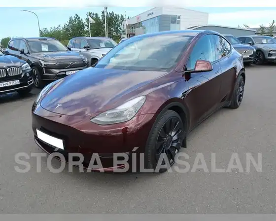 TESLA MODEL Y PERFORMANCE