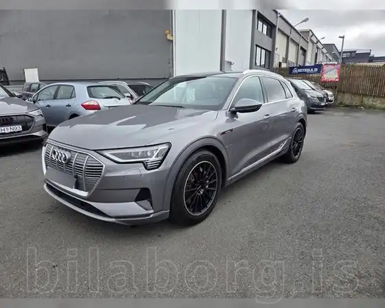 AUDI E-TRON 50
