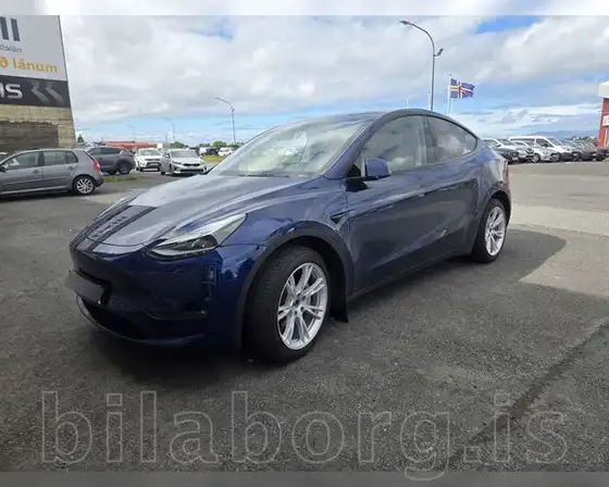 TESLA MODEL Y LONG RANGE
