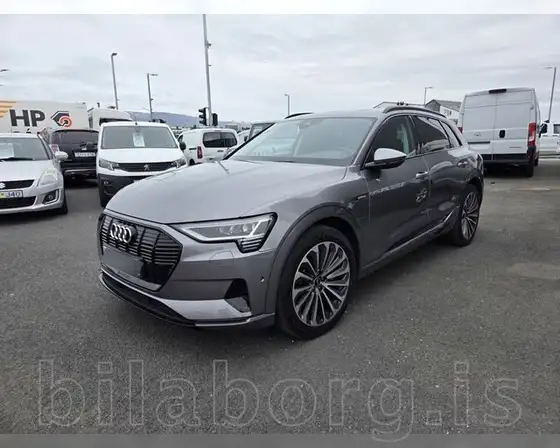 AUDI E-TRON 55
