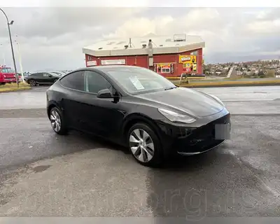 TESLA MODEL Y STD RANGE