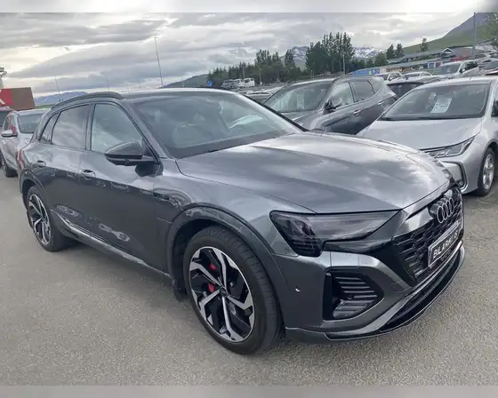 AUDI Q8 55 E-TRON S-LINE