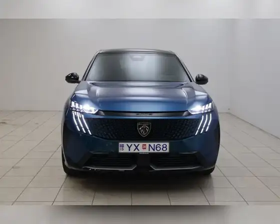 PEUGEOT E-3008